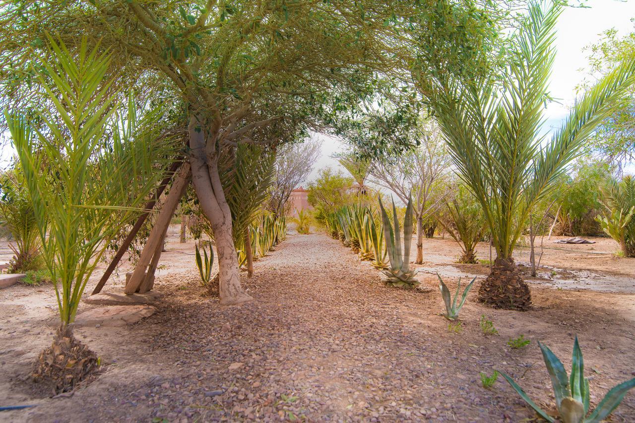 Kasbah Idriss Villa วาร์ซาเซต ภายนอก รูปภาพ